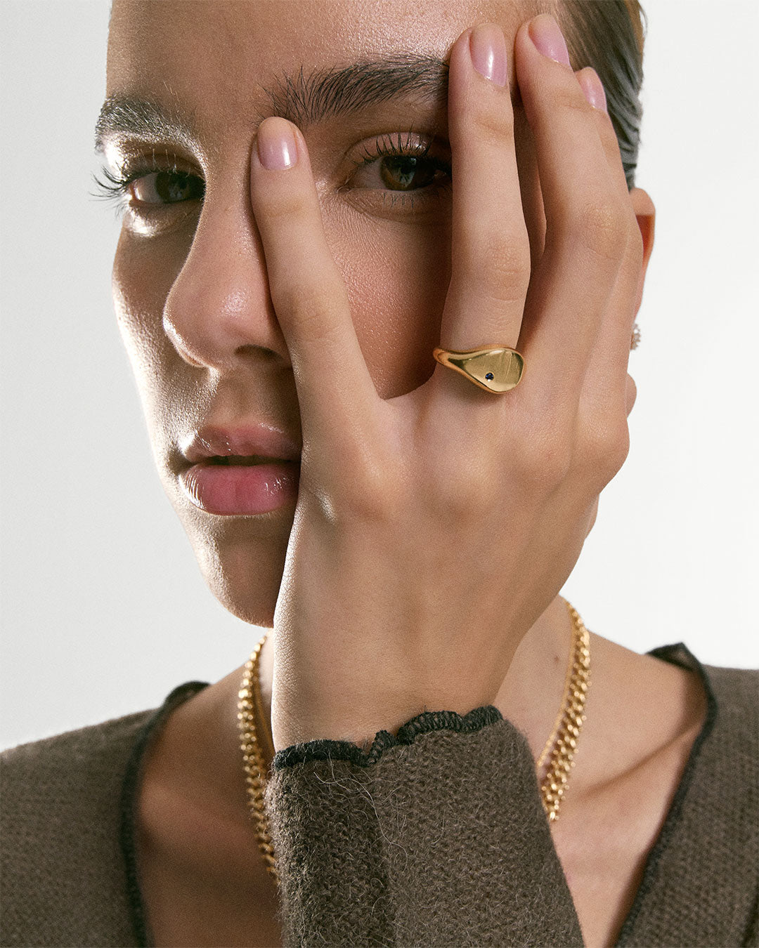 Signet Ring: de brasões de família a assinatura pessoal