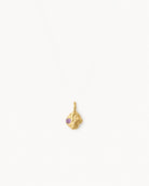Pendente Birthstone Fevereiro – Ametista natural