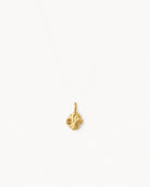 Pendente Birthstone Novembro – Citrino natural