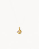 Pendente Birthstone Dezembro – Tanzanite natural